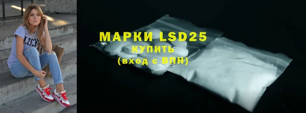 хмурый Алзамай