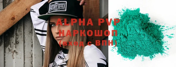 хмурый Алзамай