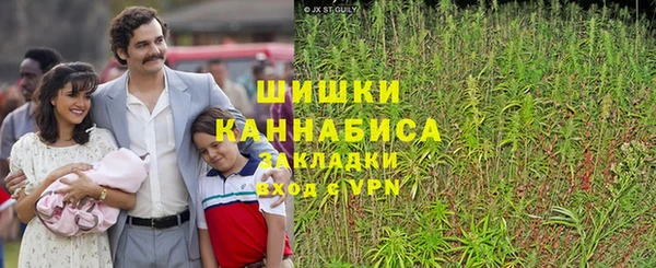 ешки Нефтегорск