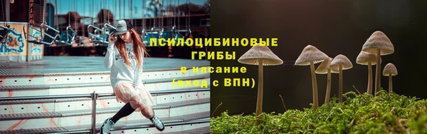 таблы Алексин